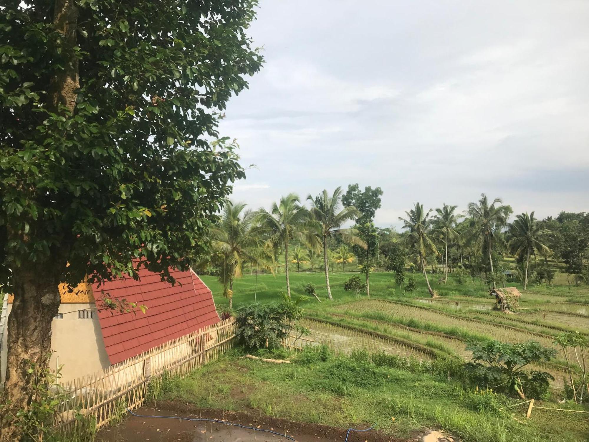 Bello Bungalow Batukliang Экстерьер фото
